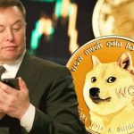 Elon Musk ve Dogecoin
